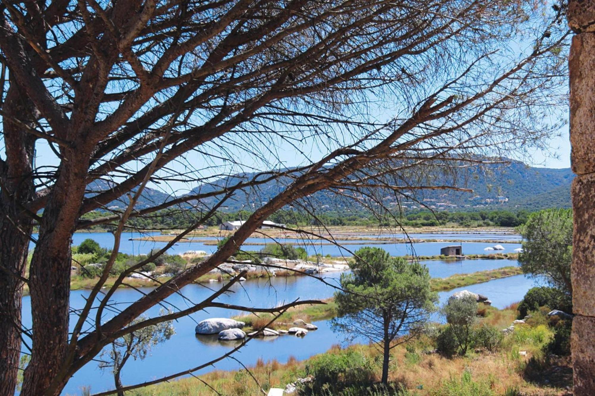 Residence Salina Bay Porto Vecchio Apartment Garden Side Ngoại thất bức ảnh